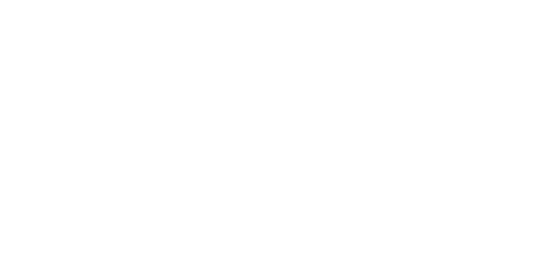 Prime Safari Highlights
