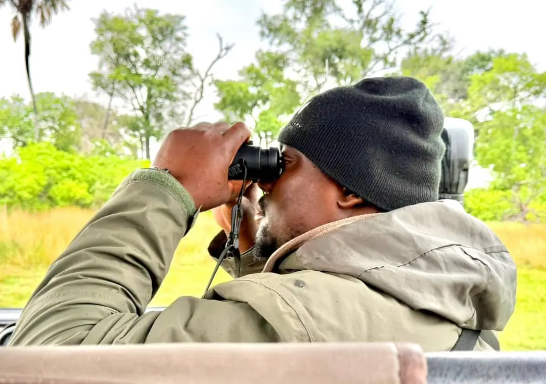 A Prime Safari Highlights guide glassing the treeline from the vehicle