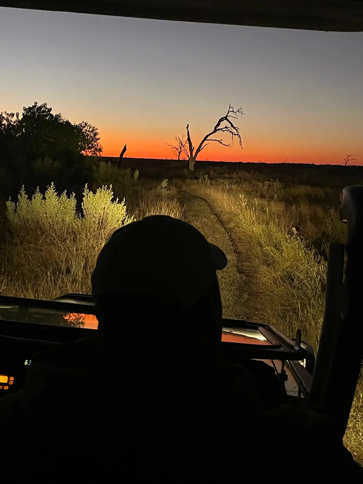 A guide silhouetted at the wheel as the sun goes down over the bush
