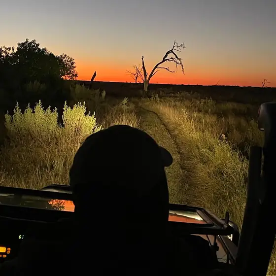 Guide silhouetted at the wheel as the sun goes down