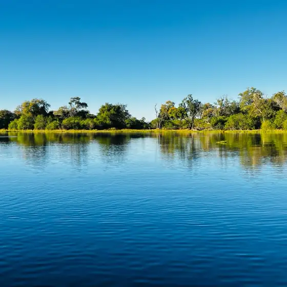 Still blue lagoon fringed with riverine bush